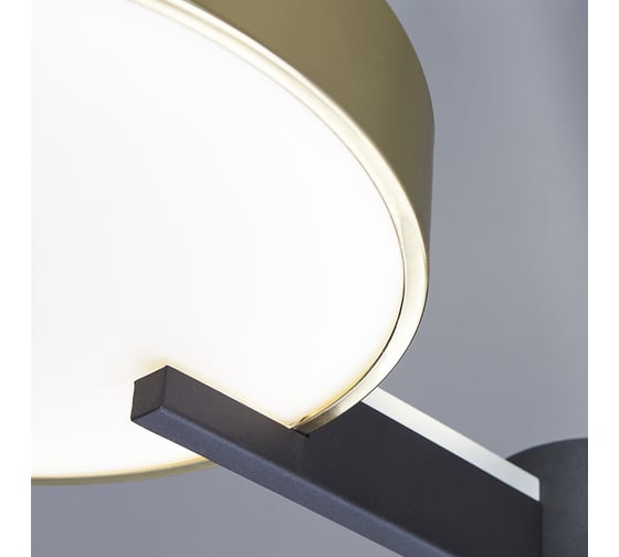 Потолочный светильник ESCADA 10209/3 LED*68W Gold/Black 10209/3LED