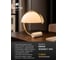 Декоративная настольная лампа ARTE LAMP brava A5056LT-1GO 6