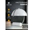 Декоративная настольная лампа ARTE LAMP brava A5056LT-1CC 6