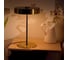 Декоративная настольная лампа ARTE LAMP elnath A5038LT-3PB 2