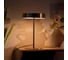 Декоративная настольная лампа ARTE LAMP elnath A5038LT-3PB 3