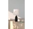 Декоративная настольная лампа ARTE LAMP rukbat A5046LT-1BK 6