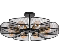 Потолочная люстра ARTE LAMP maasym A7044PL-8BK