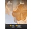 Подвесная люстра ARTE LAMP mallika A4077LM-10GO 6