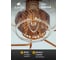 Потолочная люстра ARTE LAMP manchester A7045PL-6BK 7