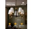 Подвесная люстра ARTE LAMP riccardo A4075LM-5BK 8