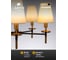 Подвесная люстра ARTE LAMP riccardo A4075LM-5BK 10