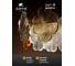 Подвесная люстра ARTE LAMP mallika A4077SP-10GO 6