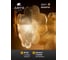 Подвесная люстра ARTE LAMP mallika A4077SP-7GO 8