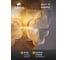 Настенный светильник ARTE LAMP mallika A4077AP-2GO 6
