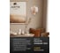 Настенный светильник ARTE LAMP felicita A4080AP-2GO 6