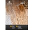 Настенный светильник ARTE LAMP felicita A4080AP-2GO 7