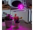 Светодиодная лампа для растений Uniel LED-A60-9W/SP/E27/CL ALM01WH 9645 3