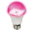 Светодиодная лампа для растений Uniel LED-A60-9W/SP/E27/CL ALM01WH 9645 7