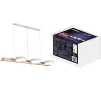 Подвесная люстра RITTER LED RACEMO с ДУ 3 режима 84Вт 2700-6400K 31м белый/дерево 51608 2