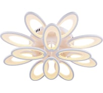 Потолочный светильник ESCADA 10238/12 LED*170W White 10238/12LED