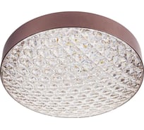 Потолочный светильник ESCADA 10246/1 LED*120W Brown 10246/1LED