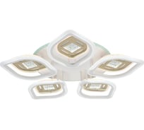 Потолочная светодиодная люстра ВИНКРУС LEDx81W LI8441C/5+5B