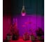 Светодиодная лампа для растений Uniel LED-M80-20W/SP/E27/CL ALS55WH, 11098 8