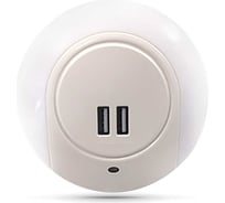 Ночник-сетевой адаптер Gauss модель 1w 220-240v 2usb led 1/10/120 NS001