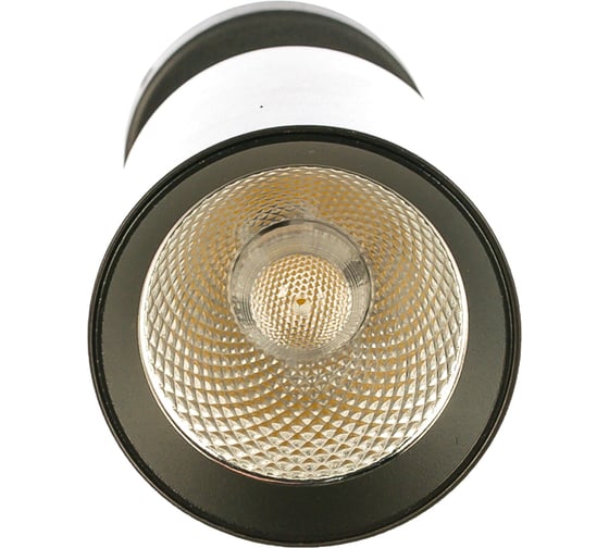 Светодиодный светильник FERON 10W, 800Lm, 35 гр, черный, наклонный, AL519 29874