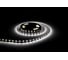 Светодиодная лента URM 5050-60led-12V-14,4W, 18-20LM-6500K-IP22-10mm С10252 2