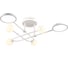 Потолочный светильник Ambrella light COMFORT FL66229 1