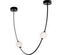 Подвесной светильник LOFT IT Embrace 10242/600 Black