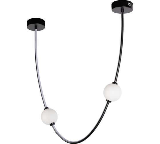 Подвесной светильник LOFT IT Embrace 10242/600 Black 1