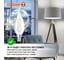 Филаментная светодиодная лампа Osram LS CLBA60 5W/840 230V FIL CL E14 10x1 4058075684966 8