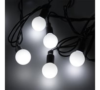 Светодиодная гирлянда Ardecoled ARD-BALL-CLASSIC-D23-20000-BLACK-160LED WHITE 025630