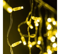 Светодиодная гирлянда Ardecoled ARD-EDGE-CLASSIC-2400x600-CLEAR-88LED-STD Gold 031185