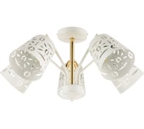 Потолочный светильник Lumin'arte FONTANA-CL60E27-5WH