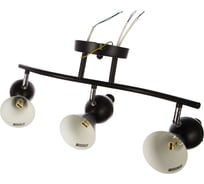 Потолочный светильник Lumin'arte Bird-CL40G9-3BL