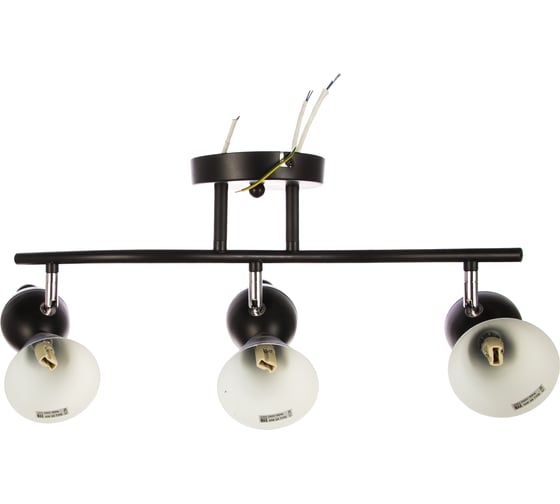 Потолочный светильник Lumin'arte Bird-CL40G9-3BL
