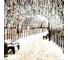 Светодиодная гирлянда Ardecoled ARD-EDGE-CLASSIC-2400x600-BLACK-88LED-PULSE Warm 034915 2