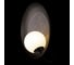 Настенный светильник Wonders LOFT IT 10237W Black 6