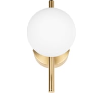 Настенный светильник LOFT IT Tely 10236/1W