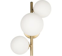 Настенный светильник LOFT IT Tely 10236/3W