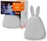 Портативный светильник LEDVANCE Белый 2,5Вт 20Лм NIGHTLUX RABBIT TOUCH USB RGBW LEDV 4058075602113 2
