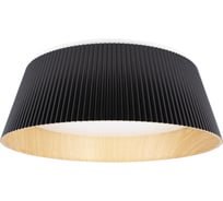 Потолочный светильник LOFT IT Evans 10224 Black