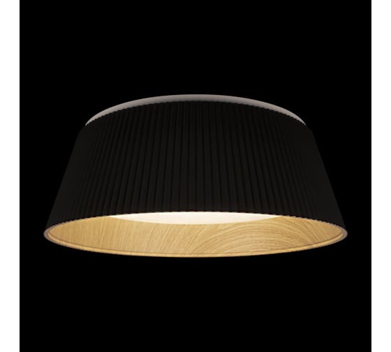 Потолочный светильник LOFT IT Evans 10224 Black