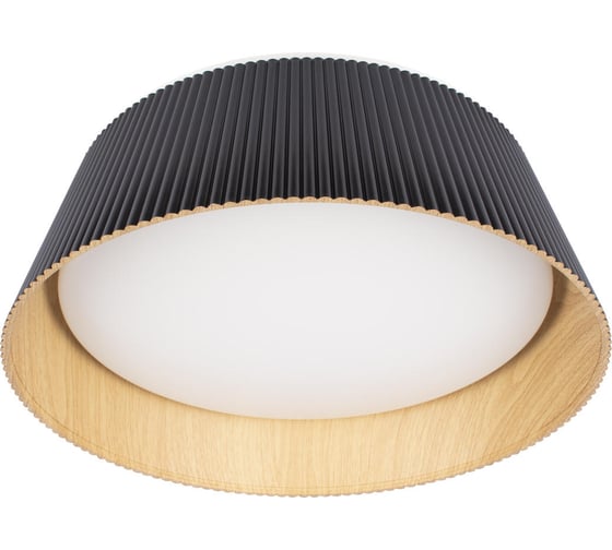 Потолочный светильник LOFT IT Evans 10224 Black