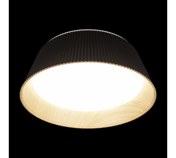 Потолочный светильник LOFT IT Evans 10224 Black