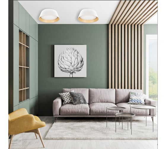 Потолочный светильник LOFT IT Evans 10224 Black
