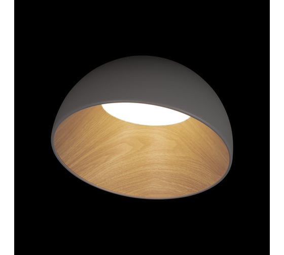 Потолочный светильник LOFT IT Egg 10197/350 Grey