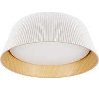 Потолочный светильник LOFT IT Evans 10224 White