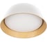 Потолочный светильник LOFT IT Evans 10224 White 3
