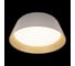 Потолочный светильник LOFT IT Evans 10224 White 4