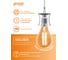 Лампа Gauss basic filament шар 3,8w 350lm 2400к е14 golden led 1/10/50 1057154 4